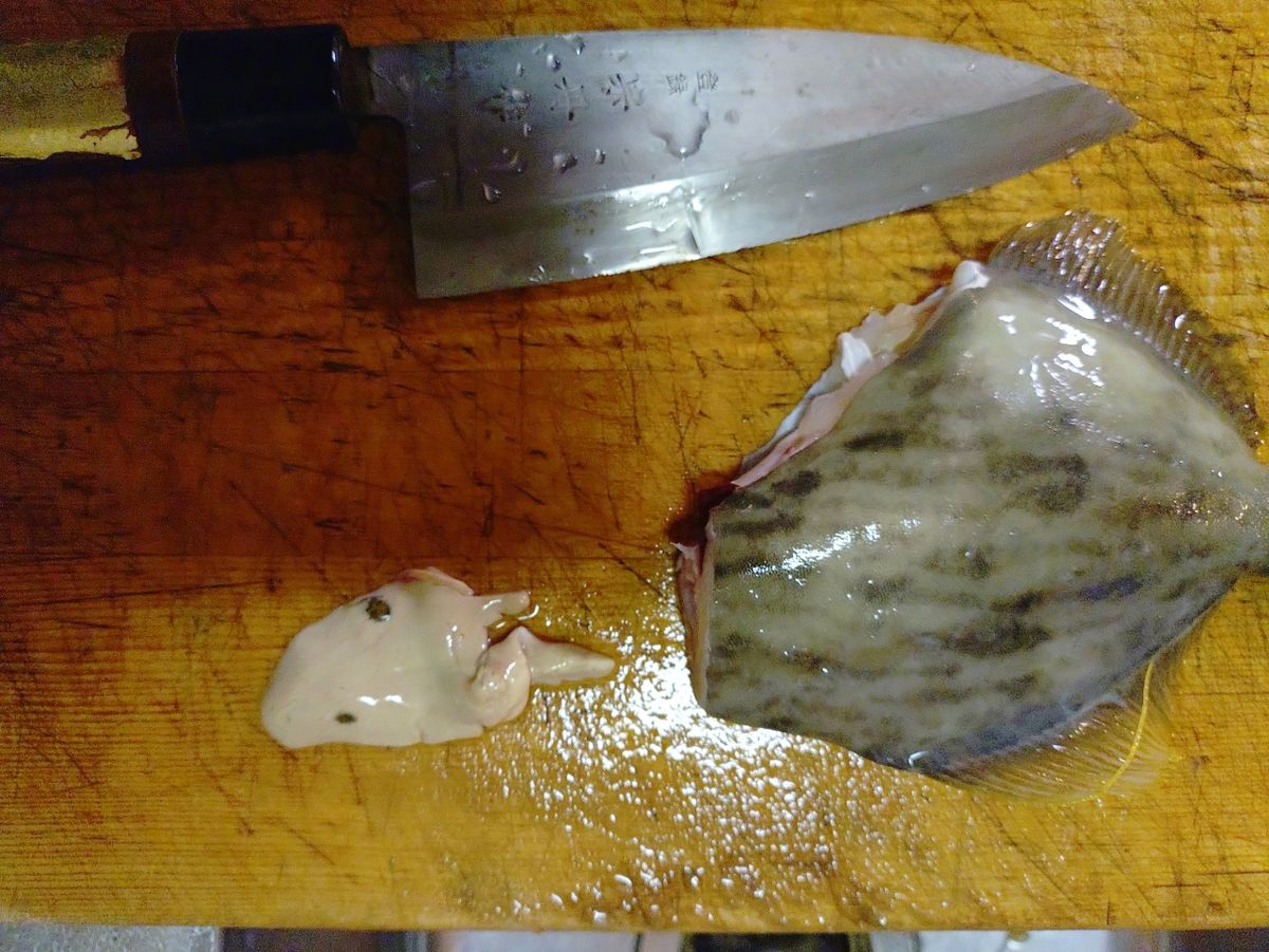 Devilrayさんの釣果 2枚目の画像