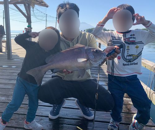 コロダイの釣果