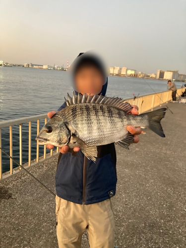 千葉港中央埠頭