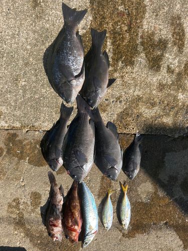 日和山浜海水浴場