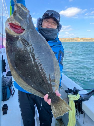 ヒラメの釣果