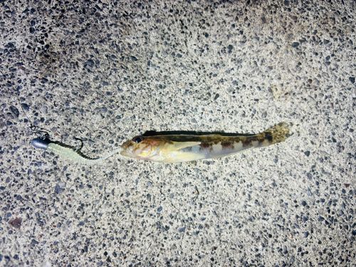 小名浜港市場前