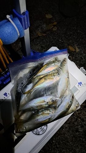 東京湾（アクアライン〜富津）