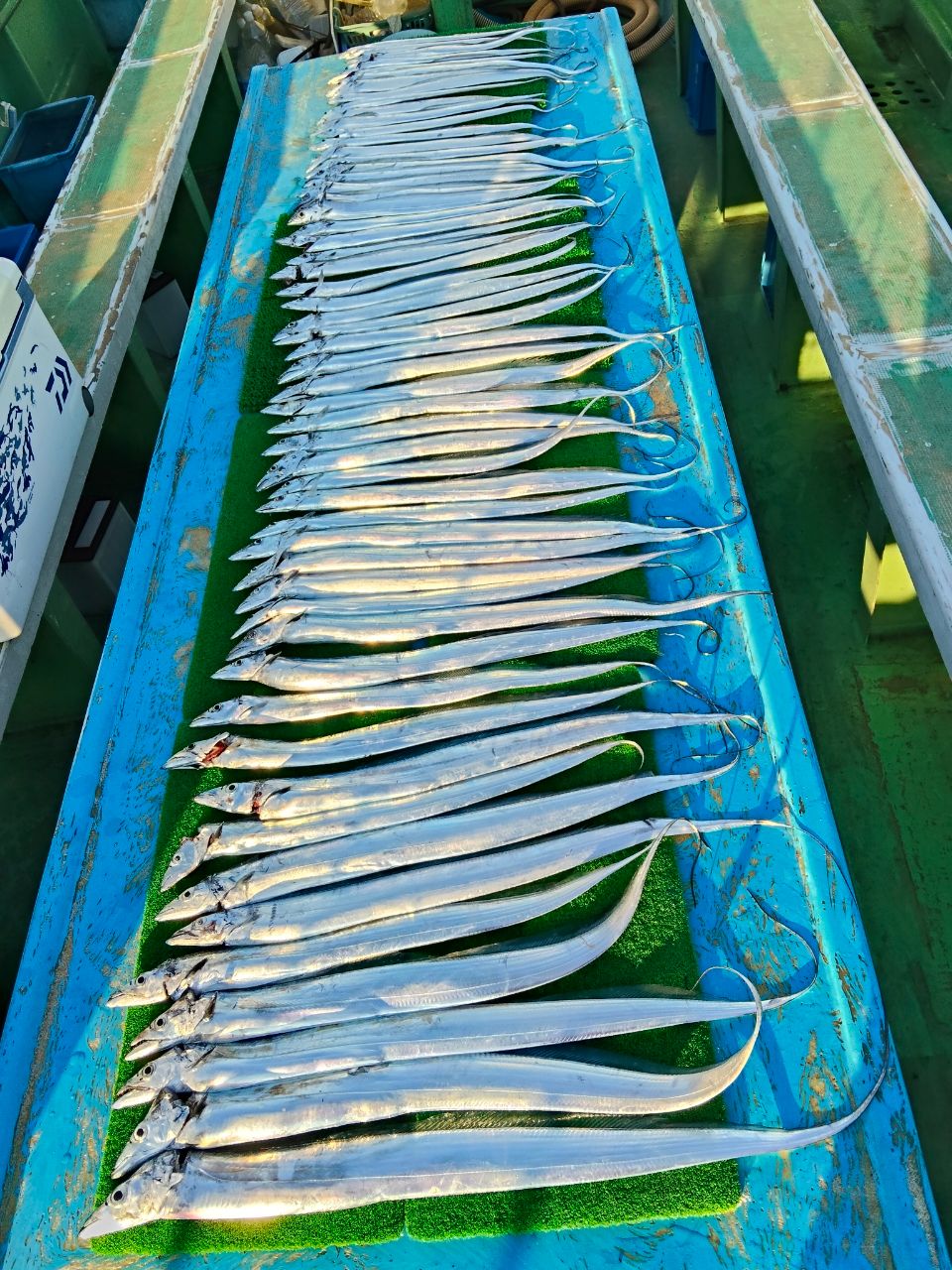 モコミミさんの釣果 1枚目の画像