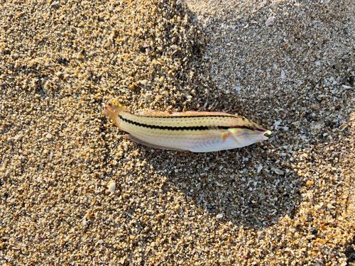 アジュール舞子