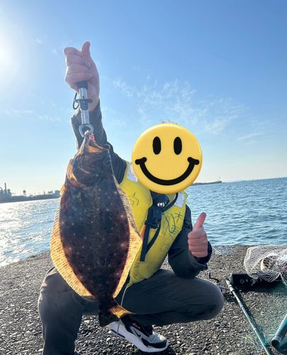 ヒラメの釣果