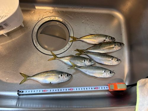 小名浜港市場前