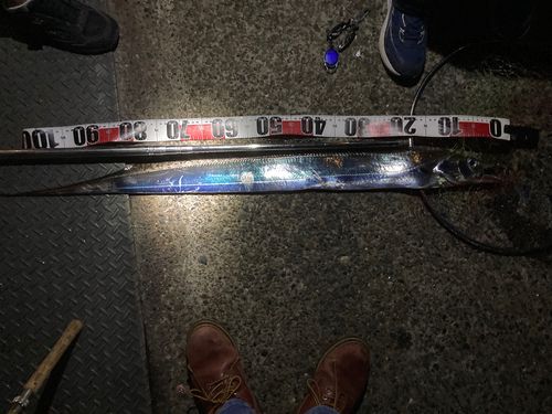 若洲海浜公園海釣り施設