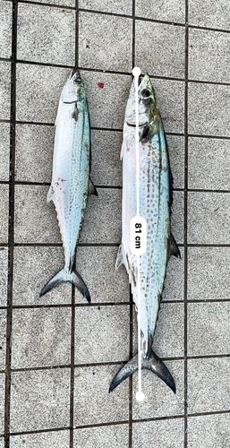 ベイサイドビーチ坂