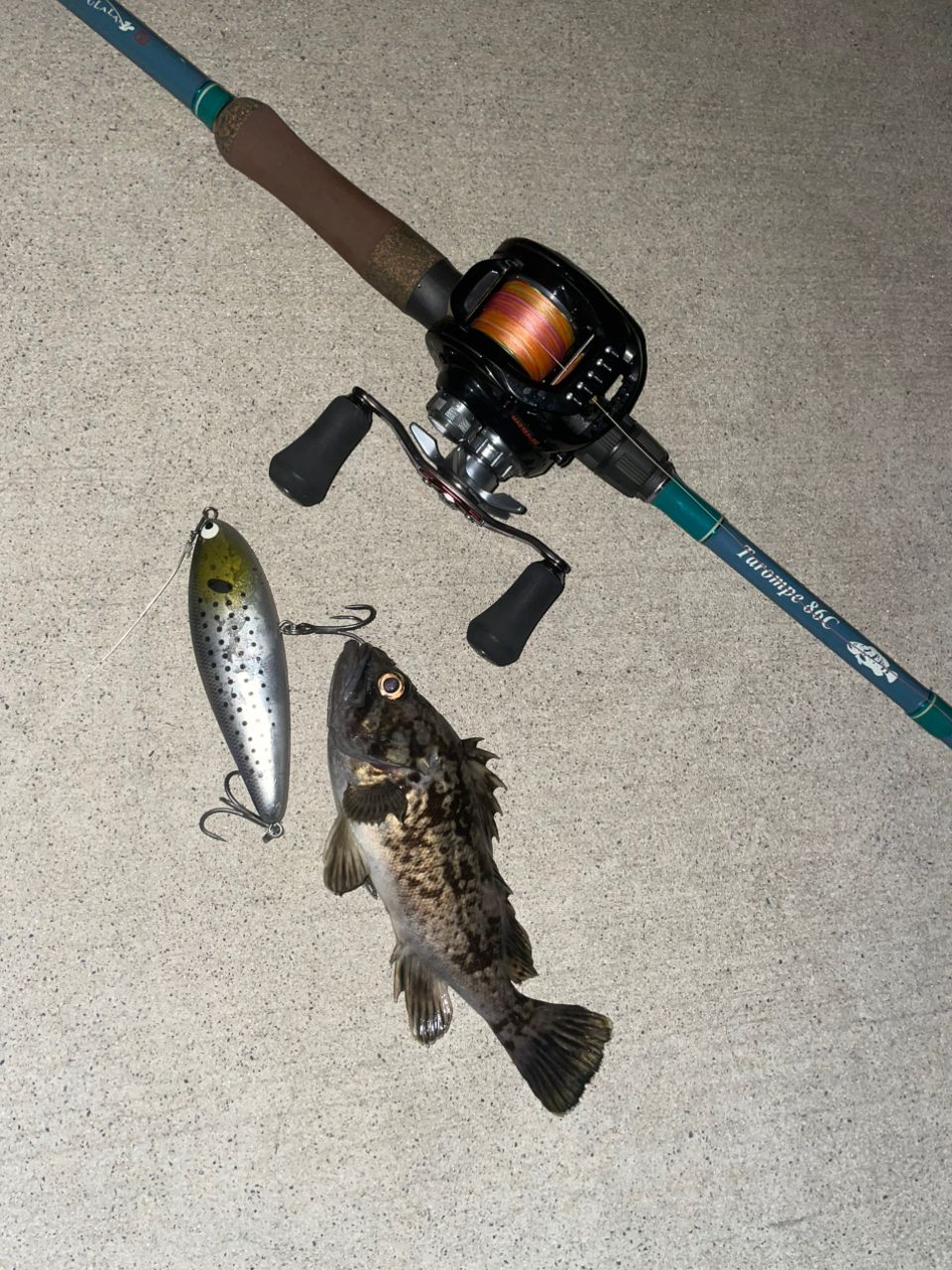 DAIWA 18ジリオン TW HD 1520Hの最安値・インプレ・釣果 | 本音の