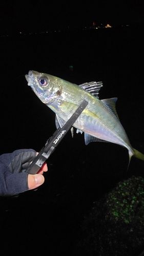 小名浜港アクアマリンふくしま周辺