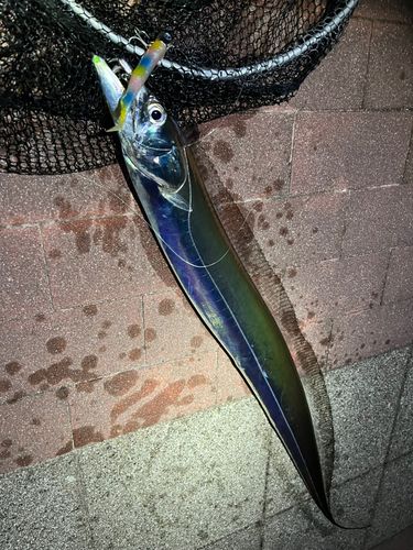 豊洲ぐるり公園