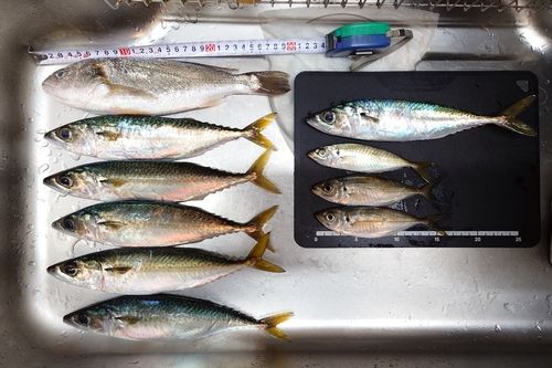 大黒海づり施設