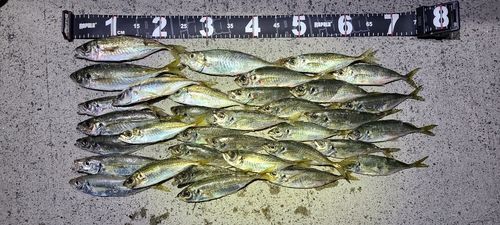 小名浜港市場前