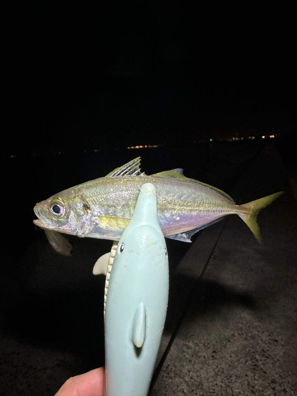 Megabass 20礁楽 SL-76LSの最安値・インプレ・釣果 | 本音の口コミが