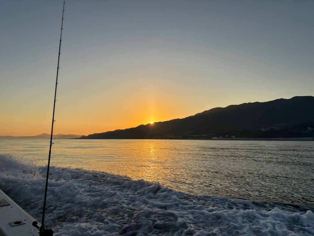くわちゃんさんの釣果 2枚目の画像
