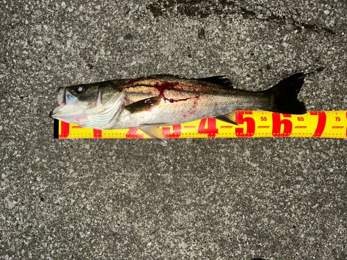 千葉港中央埠頭