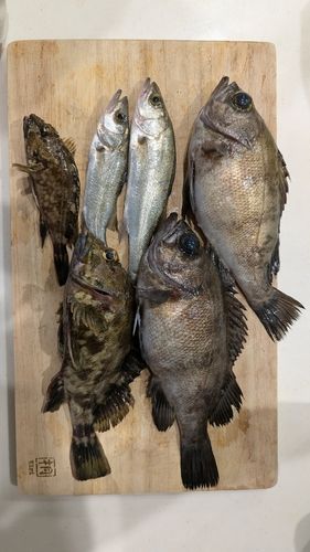 新舞子マリンパーク