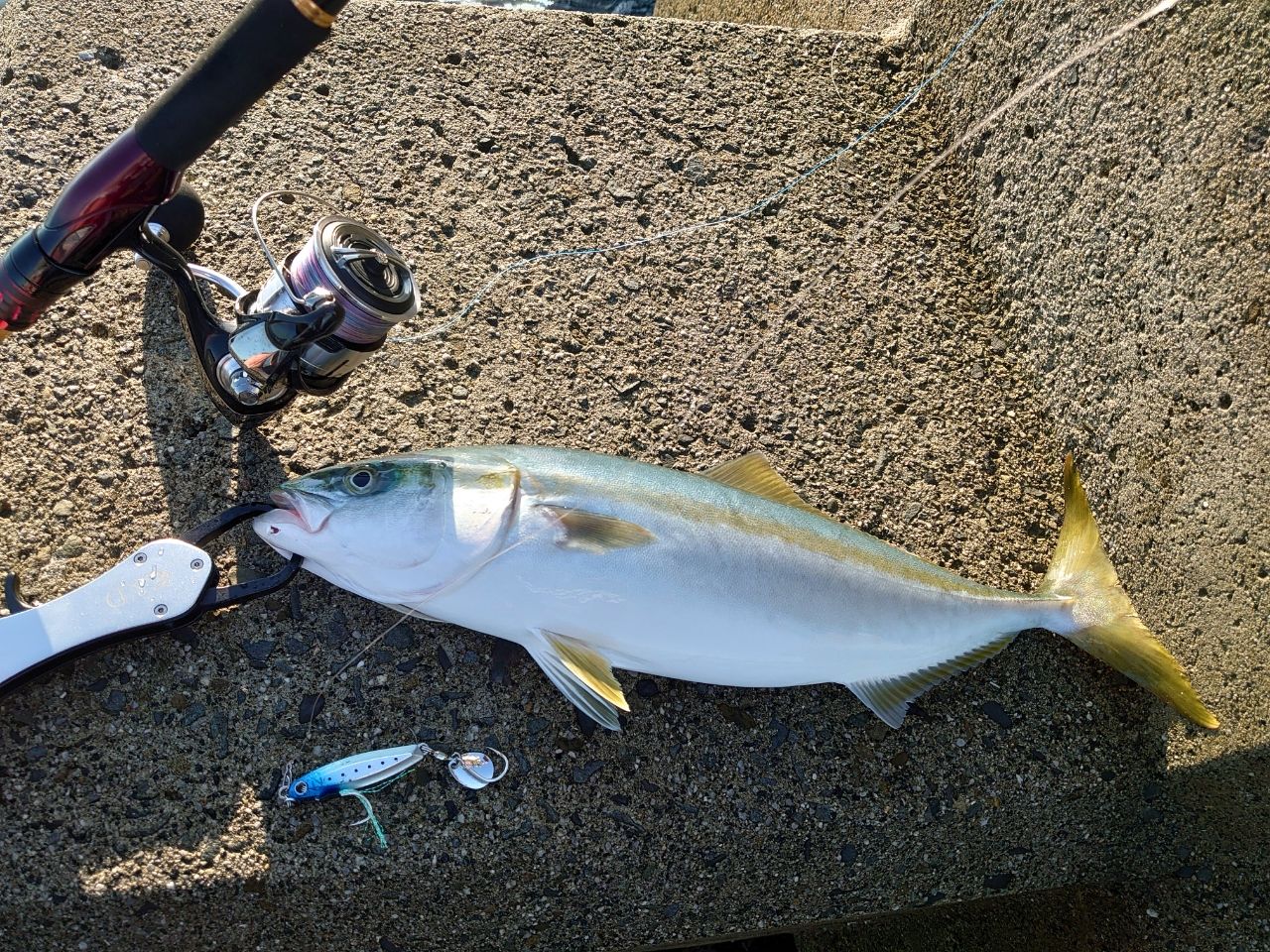 DAIWA 21オーバーゼア グランデ（サーフモデル） 103MHの最安値