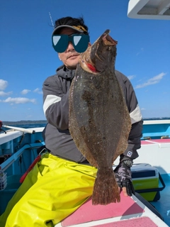 ヒラメの釣果