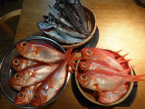 キンメダイの釣果