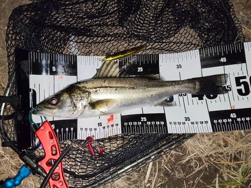 荒川河川敷運動公園