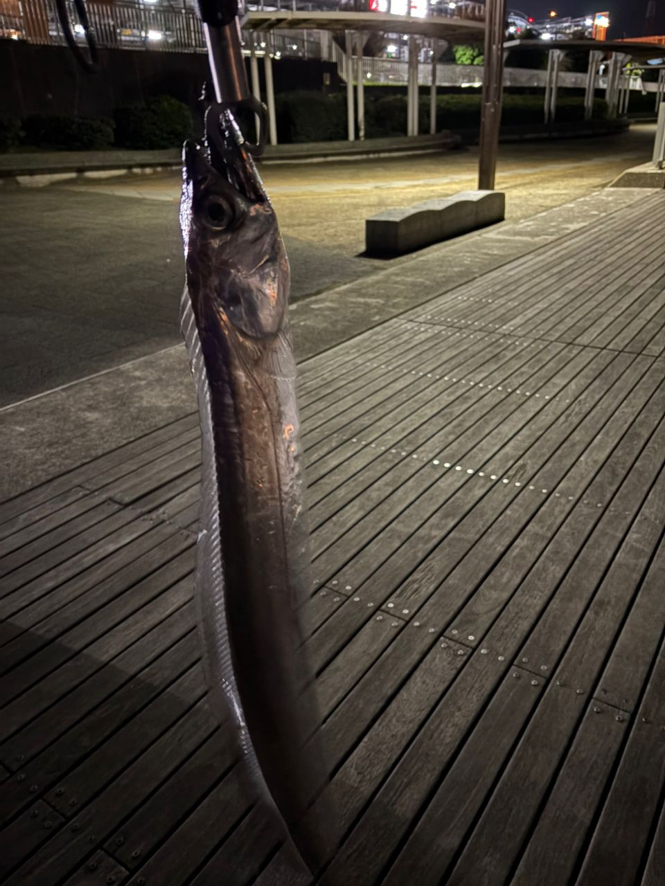 DAIWA 23シーバスフラット X 90MLの最安値・インプレ・釣果 | 本音の