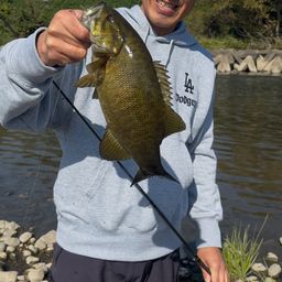 スモールマウスバス