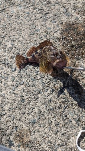 アジュール舞子