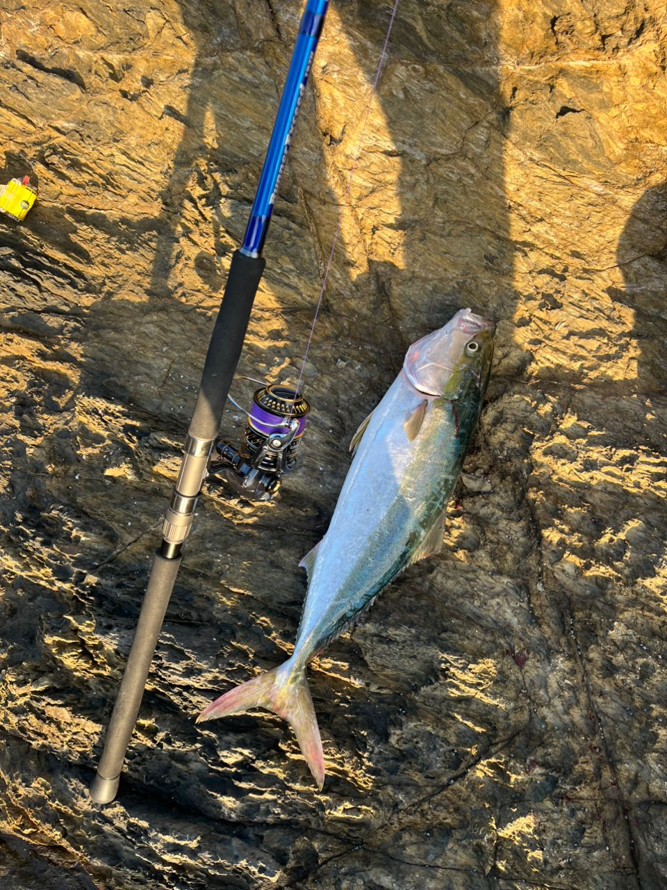 Ripple Fisher ランナーエクシード 103Hの最安値・インプレ・釣果