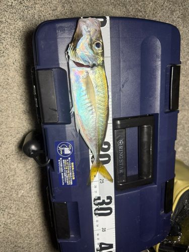 小名浜港市場前