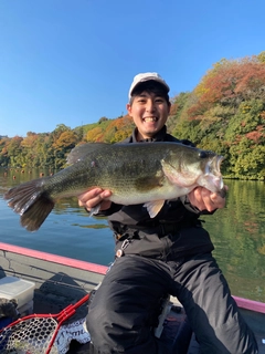 ブラックバスの釣果