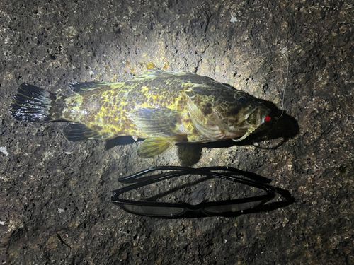 常滑りんくう釣り護岸