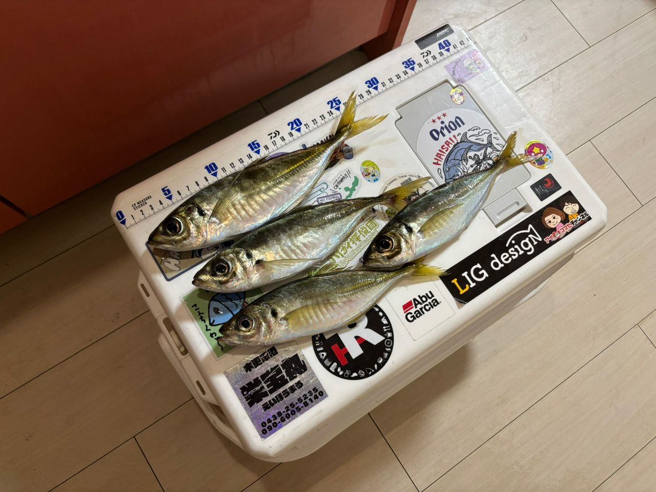 DAIWA 21月下美人 MX アジング ボート 66UL-S・Nの最安値・インプレ