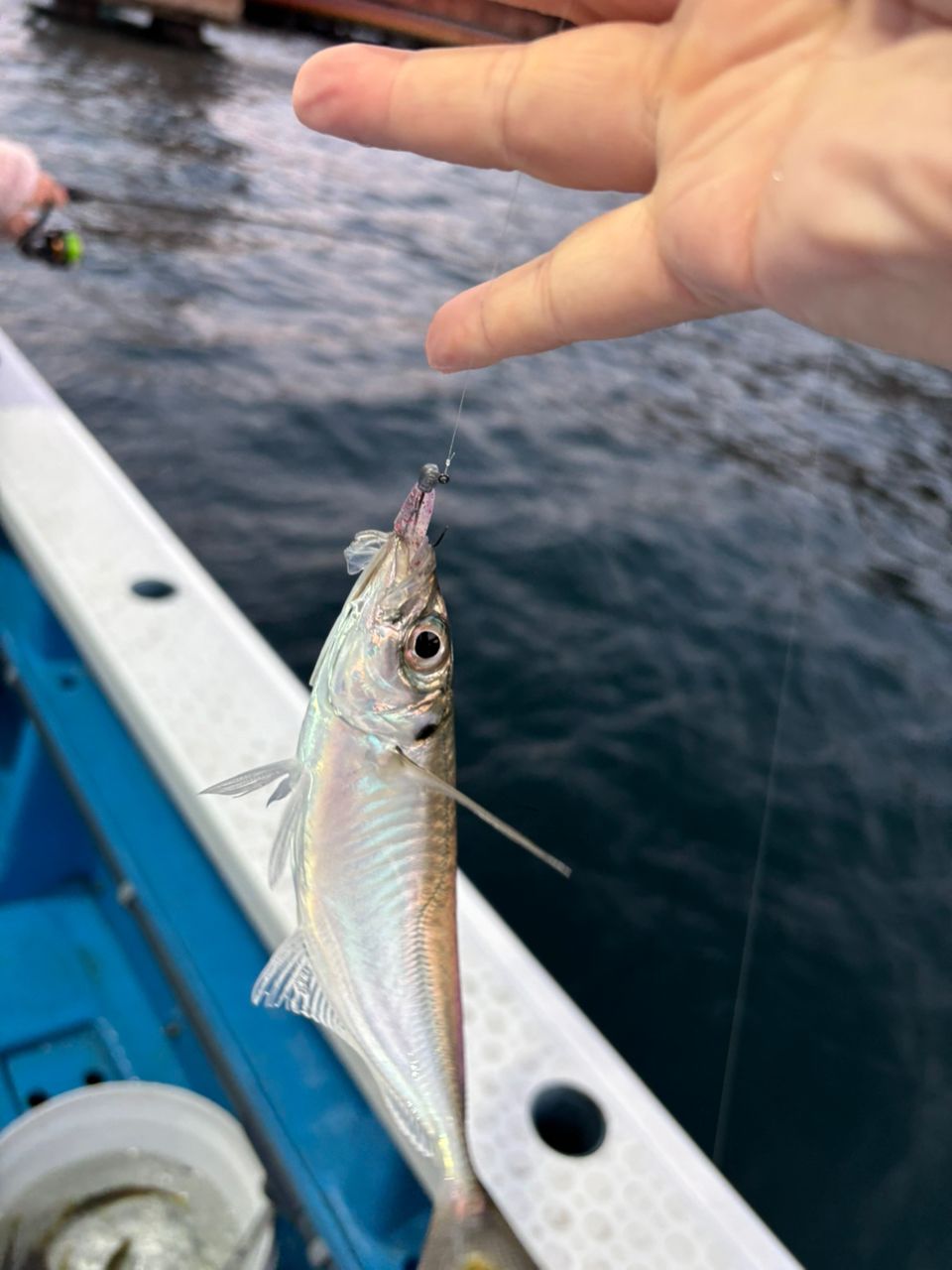 まなひなさんの釣果 2枚目の画像