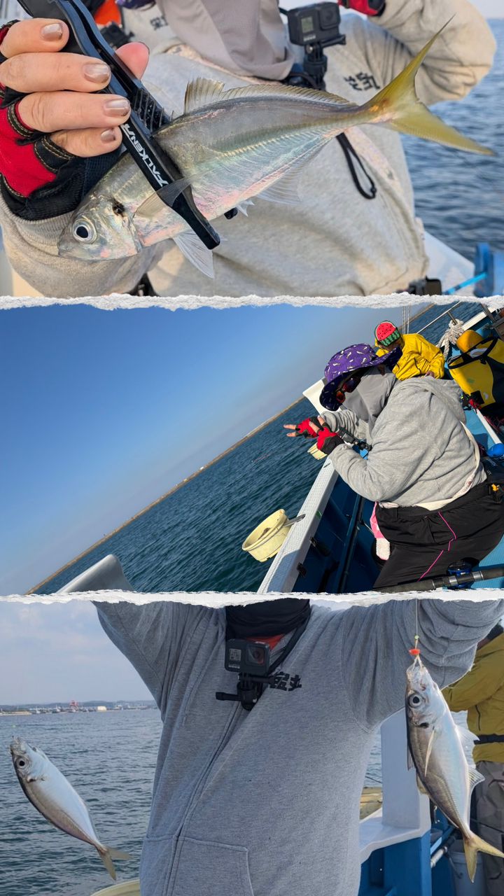 まなひなさんの釣果 3枚目の画像