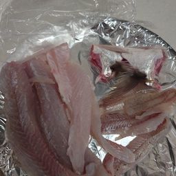 セイゴ（タイリクスズキ）