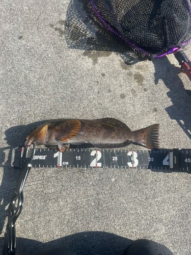 三陸海岸（宮城）