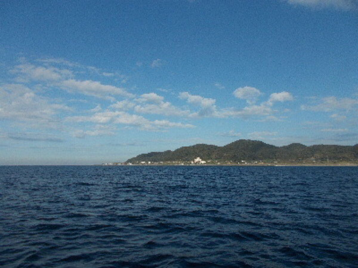 千葉県洲崎港 源平丸 船長🤗さんの釣果 2枚目の画像