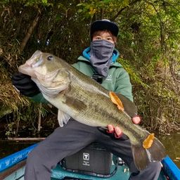 ラージマウスバス