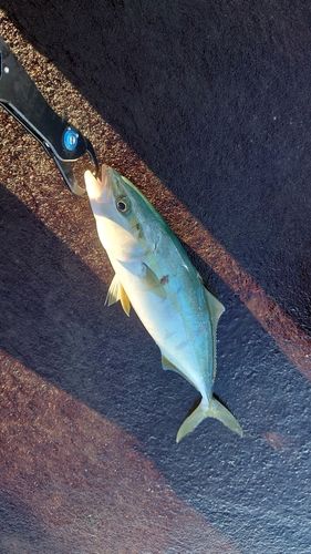 日和山浜海水浴場