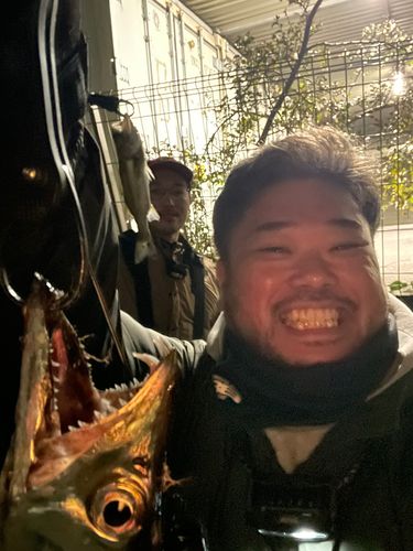 タチウオの釣果