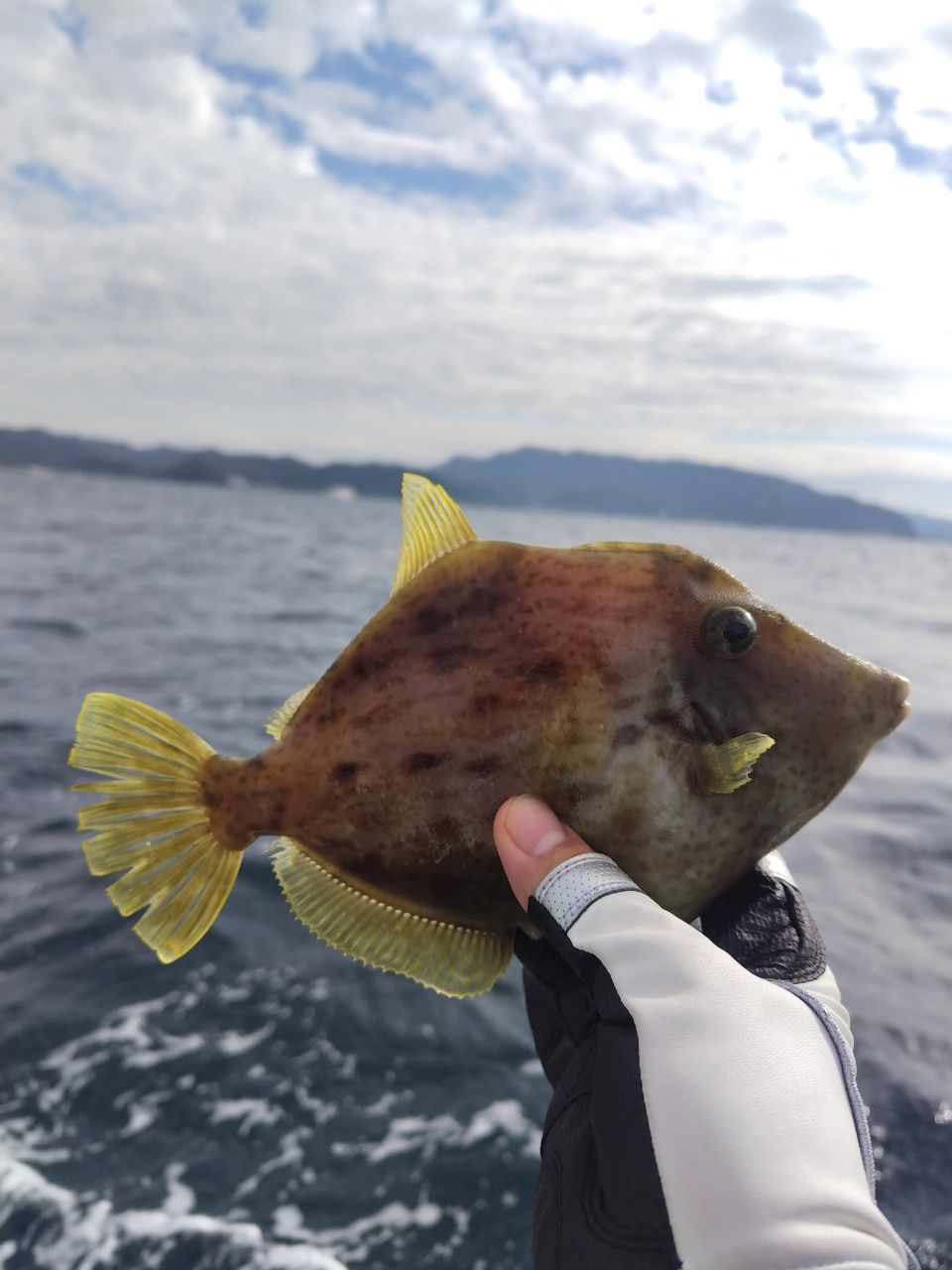 風のふ〜こ丸♂さんの釣果 1枚目の画像