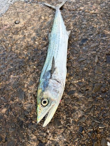 鞠山海遊パーク