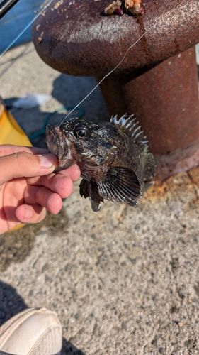 アジュール舞子