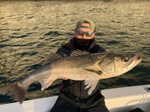 東京湾（アクアライン〜富津）