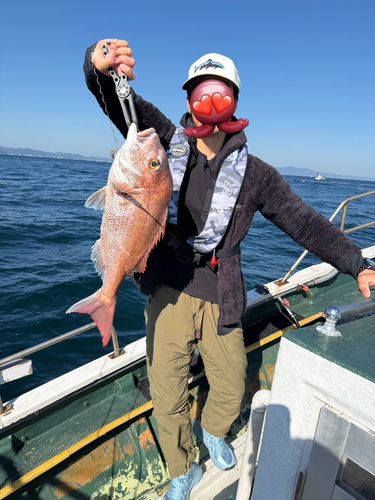 マダイの釣果