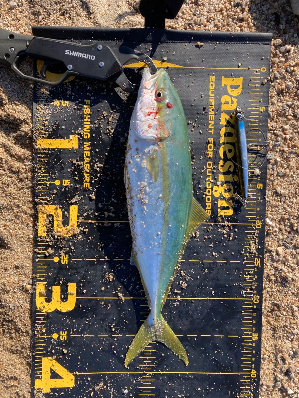 最終値下げ　シマノ　ほぼ未使用　19ヴァンキッシュ C5000HG 超美品 使用感無く美品シマノ19バンキッシュc5000HG