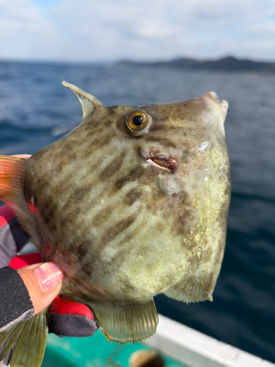 ♡りな♡さんの釣果 2枚目の画像