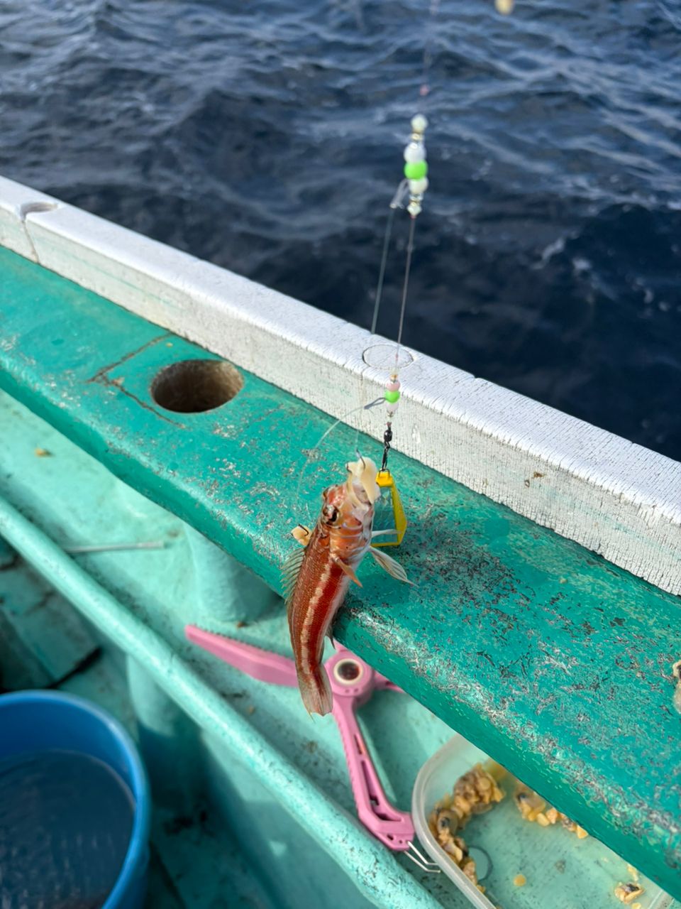 ♡りな♡さんの釣果 1枚目の画像
